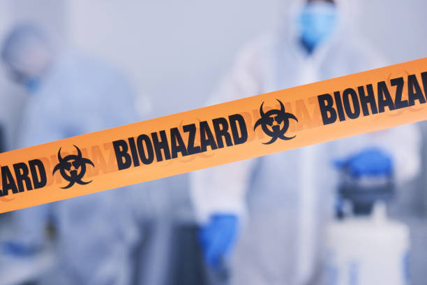 Professional Odor Removal technician working in Northport, NY